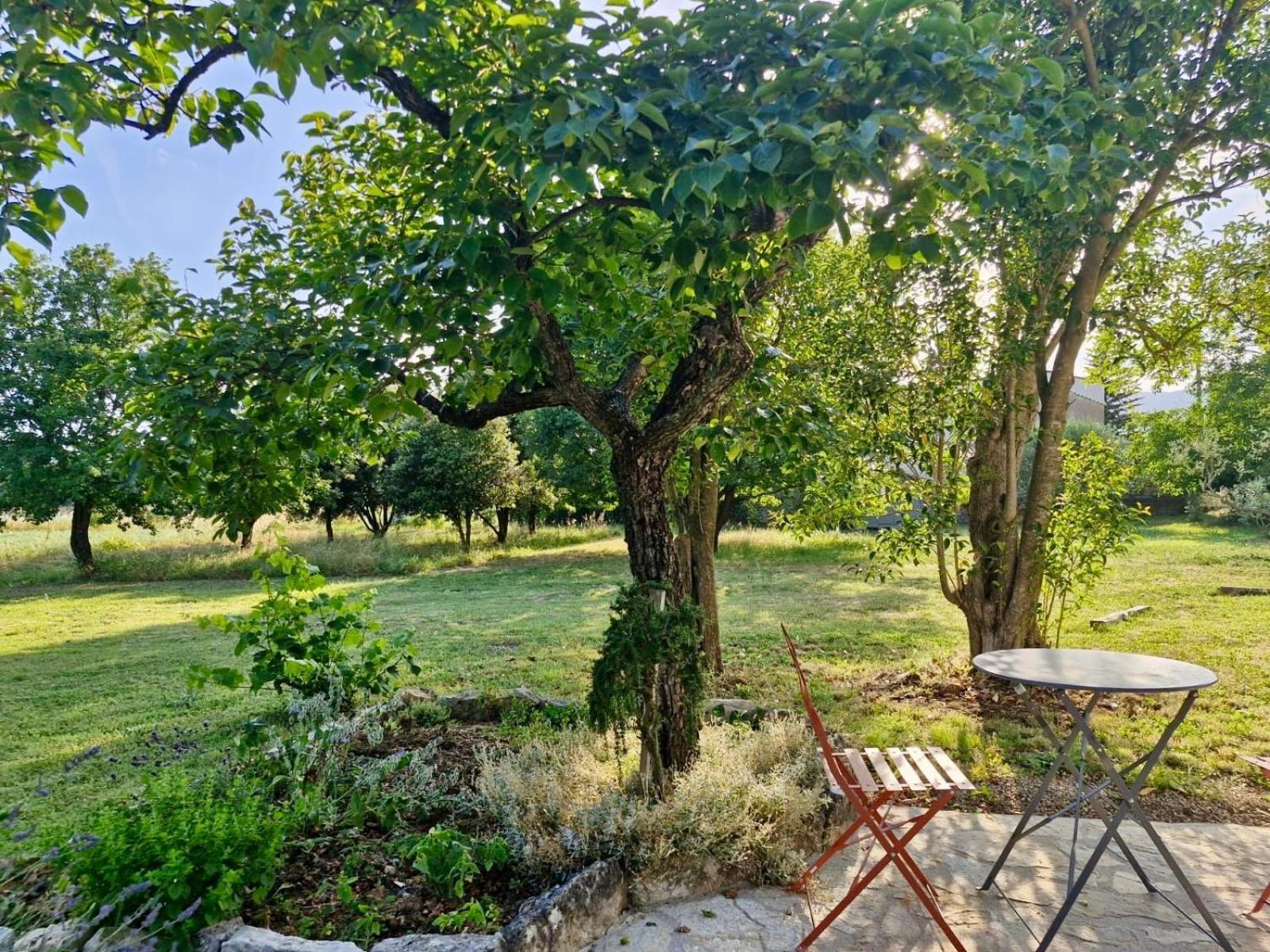 La Bastideta, Apartment Fayence Exterior foto